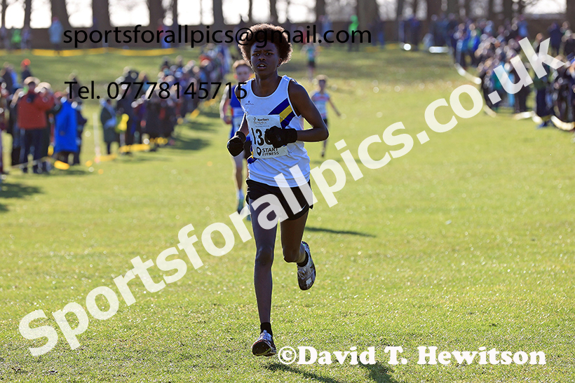 Mens under-17s 2025 Northern Cross Country Champs, Tatton Park, Knutsford, Cheshire. Photo: David T. Hewitson/Sports for All Pics
